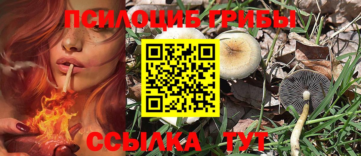 Псилоцибиновые грибы MAGIC MUSHROOMS  Вход с VPN  Касимов  Галлюциногенные грибы Psilocybine cubensis 